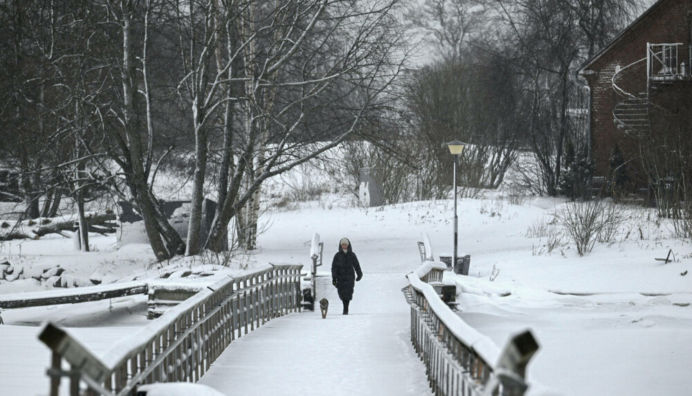 Val de ger în nordul Europei. Suedia a înregistrat -43,6°C, cea mai rece temperatură din ultimii 25 de ani. FOTO - Imaginea 17