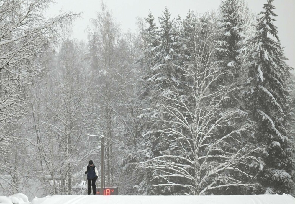 Val de ger în nordul Europei. Suedia a înregistrat -43,6°C, cea mai rece temperatură din ultimii 25 de ani. FOTO - Imaginea 18