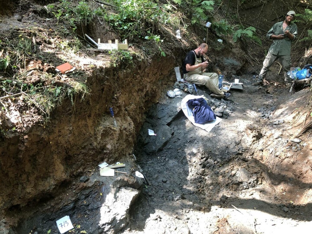 Fosile de dinozaur, unice în lume, descoperite în Hunedoara. Ce au constatat oamenii de știință | GALERIE FOTO - Imaginea 5