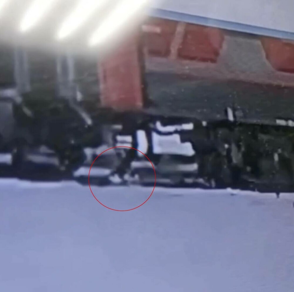 Caz revoltător într-un tren din Rusia. Un conductor a aruncat o pisică dintr-o locomotivă, la -30 de grade. FOTO + VIDEO - Imaginea 1