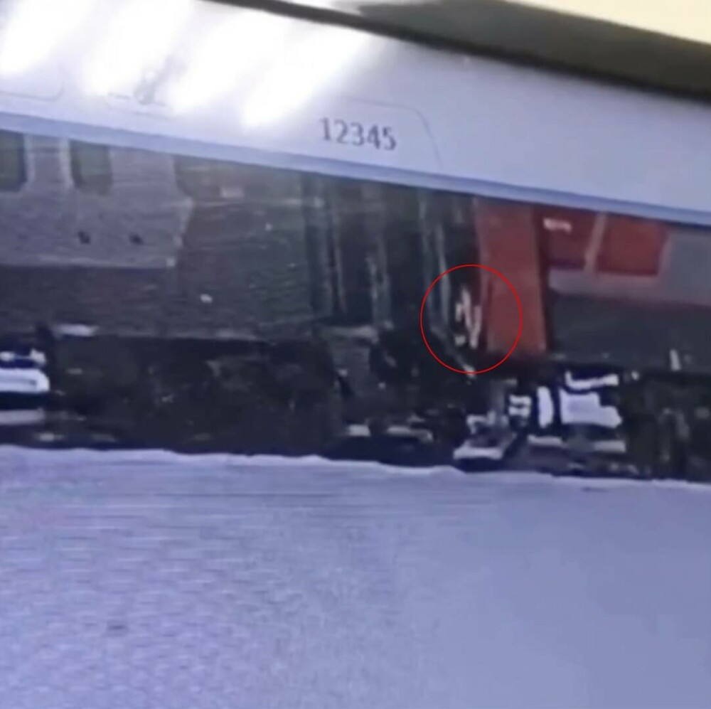Caz revoltător într-un tren din Rusia. Un conductor a aruncat o pisică dintr-o locomotivă, la -30 de grade. FOTO + VIDEO - Imaginea 2