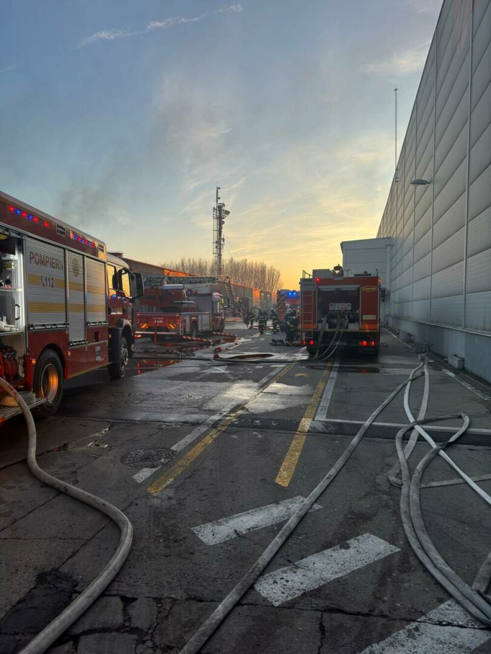 Incendiu masiv în apropiere de Timișoara. Mobilizare de forțe la fața locului - Imaginea 4