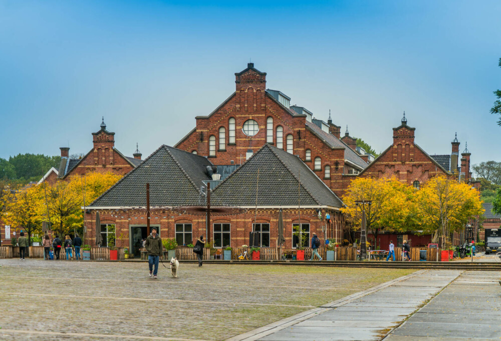 Ce să vizitezi în Țările de Jos. Cele mai frumoase locuri de văzut în Olanda - Imaginea 9
