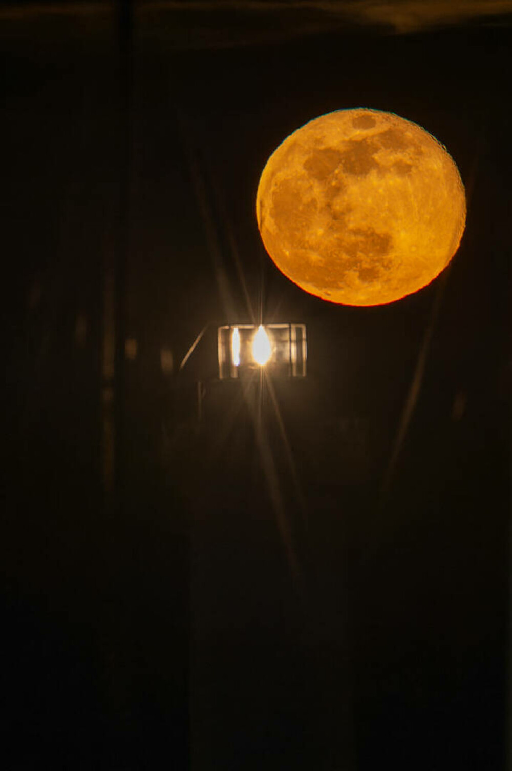 Luna magică a Lupului. Care este semnificația spirituală a acestei perioade din an. Zodiile care vor avea parte de schimbări - Imaginea 12