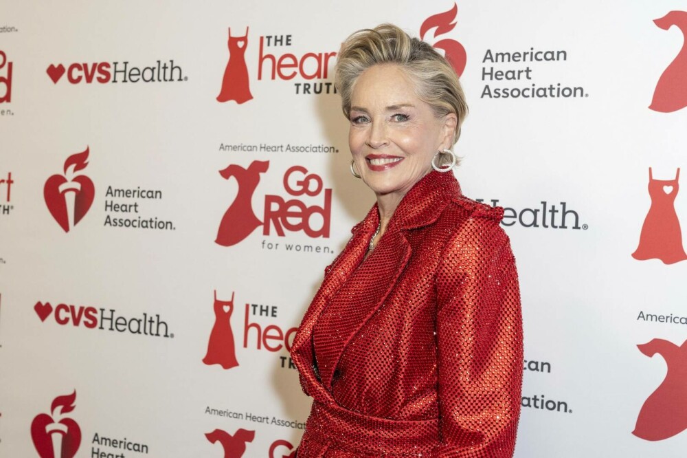 Sharon Stone, apariţie spectaculoasă la un eveniment caritabil în New York City. GALERIE FOTO - Imaginea 7