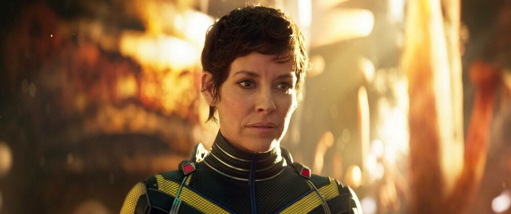 Actrița Evangeline Lilly, cunoscută din Marvel, are leziuni cerebrale după ce a căzut și s-a lovit cu capul de o piatră - Imaginea 5