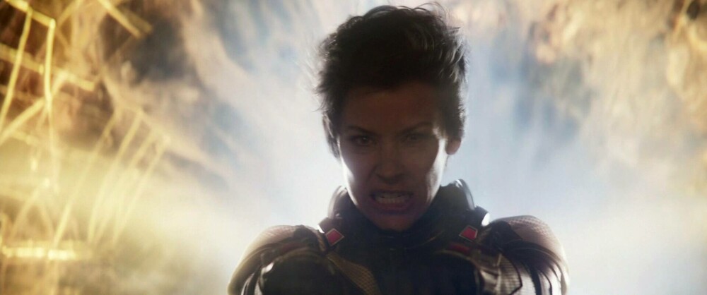 Actrița Evangeline Lilly, cunoscută din Marvel, are leziuni cerebrale după ce a căzut și s-a lovit cu capul de o piatră - Imaginea 8