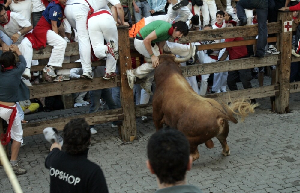 Goana spre moarte, la Pamplona: tanar ucis de un taur! - Imaginea 1