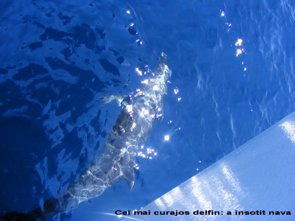Skiathos, o vacanta completa (II) - In cautare de delfini, foci si pirati - Imaginea 14