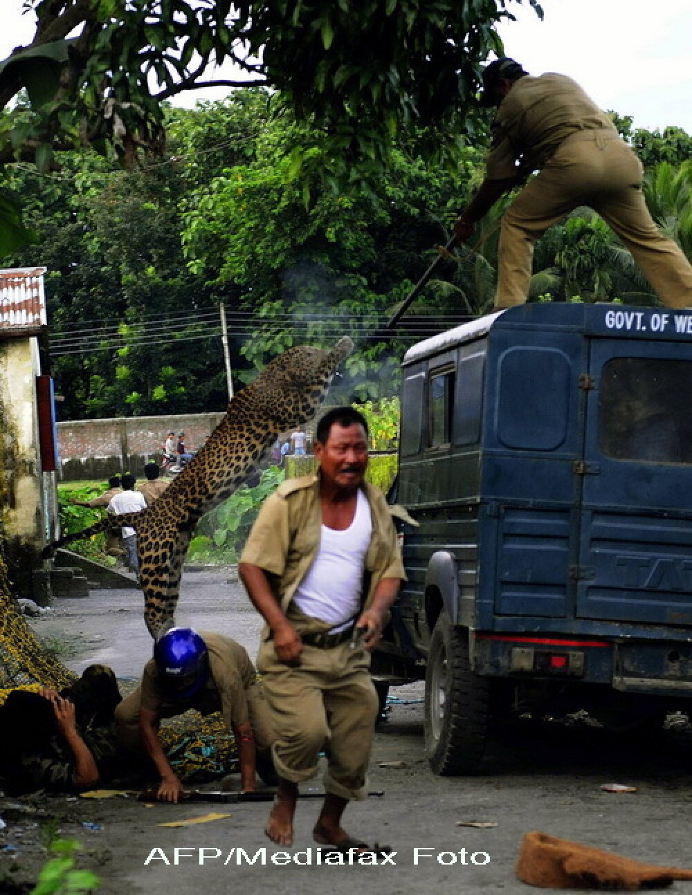 FOTO. Momentul in care un leopard ataca un om. Animalul a mutilat in total 6 persoane - Imaginea 3