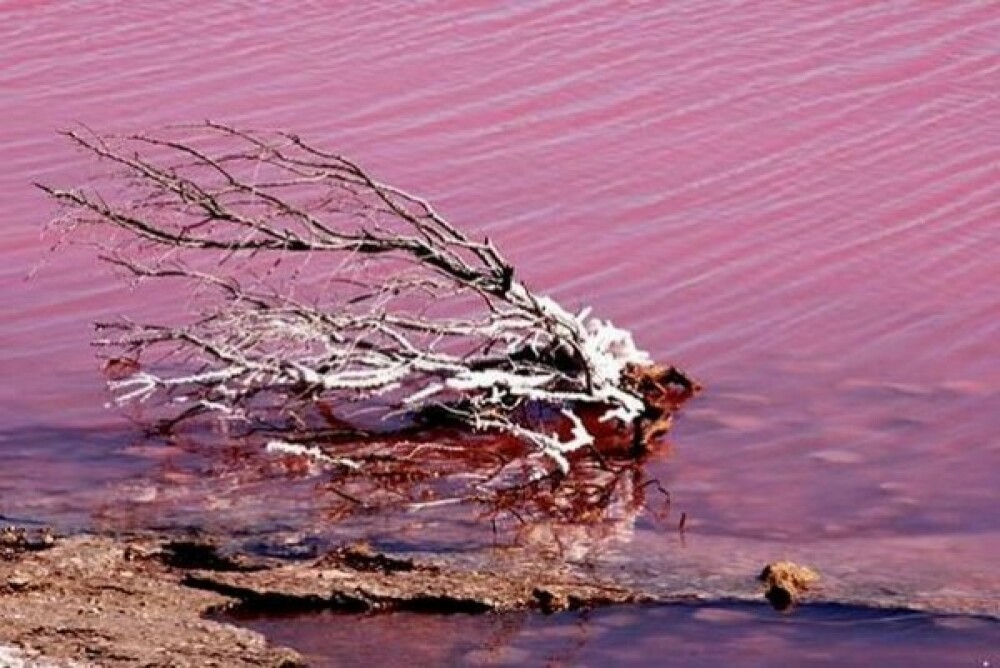 Unul dintre cele mai misterioase locuri din lume. Cum a ajuns acest lac sa fie ROSU. Galerie FOTO - Imaginea 5