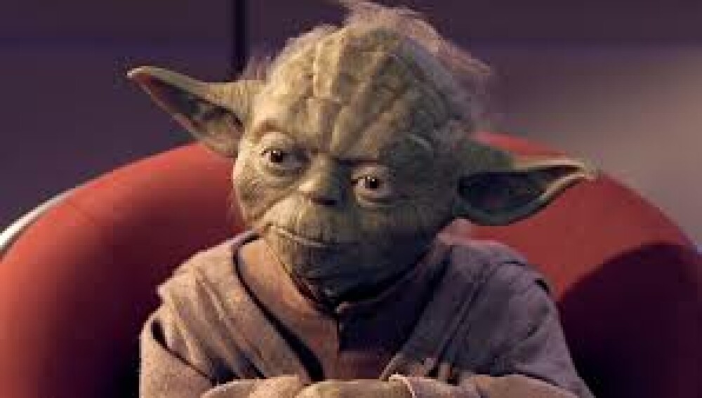 Chipul lui Yoda, din Star Wars, descoperit pe fruntea unui porc din Mexic - Imaginea 2