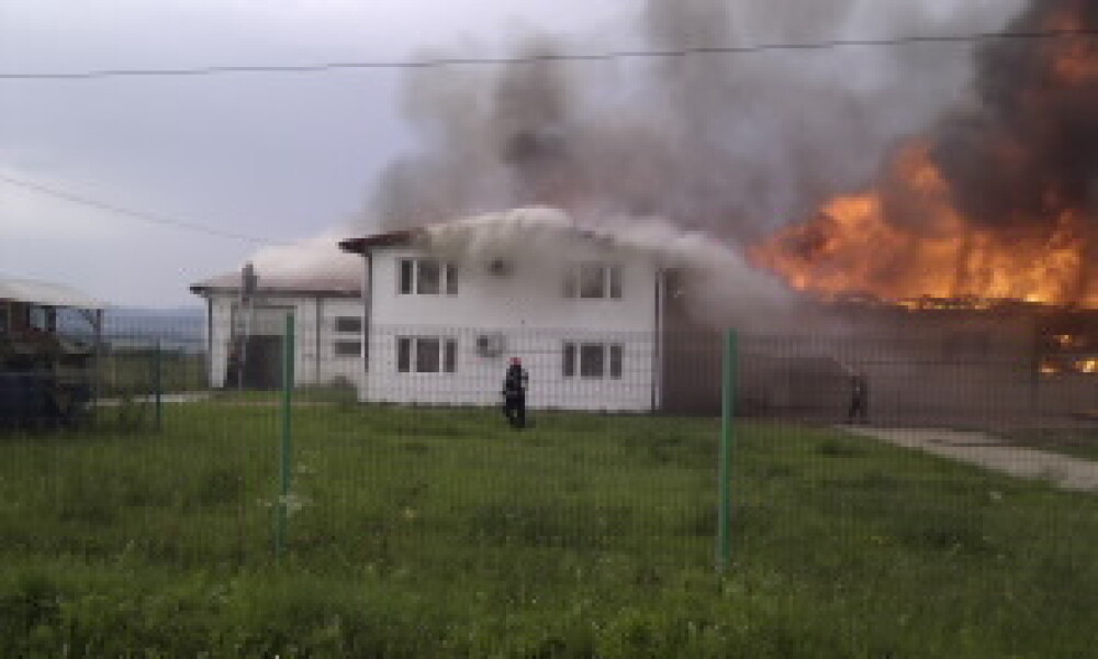 Incendiu puternic la o fabrica de ciocolata din Beius. Flacarile au cuprins intreaga hala. FOTO - Imaginea 2