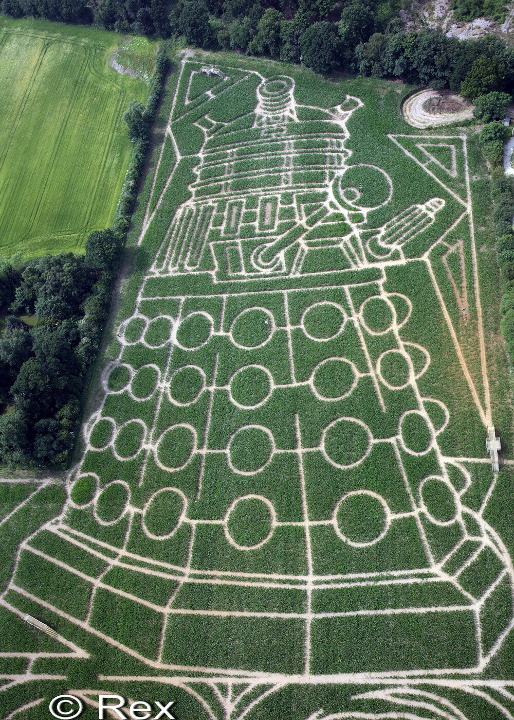 Cel mai mare labirint din Europa: ce au descoperit britanicii intr-un lan de porumb - Imaginea 1