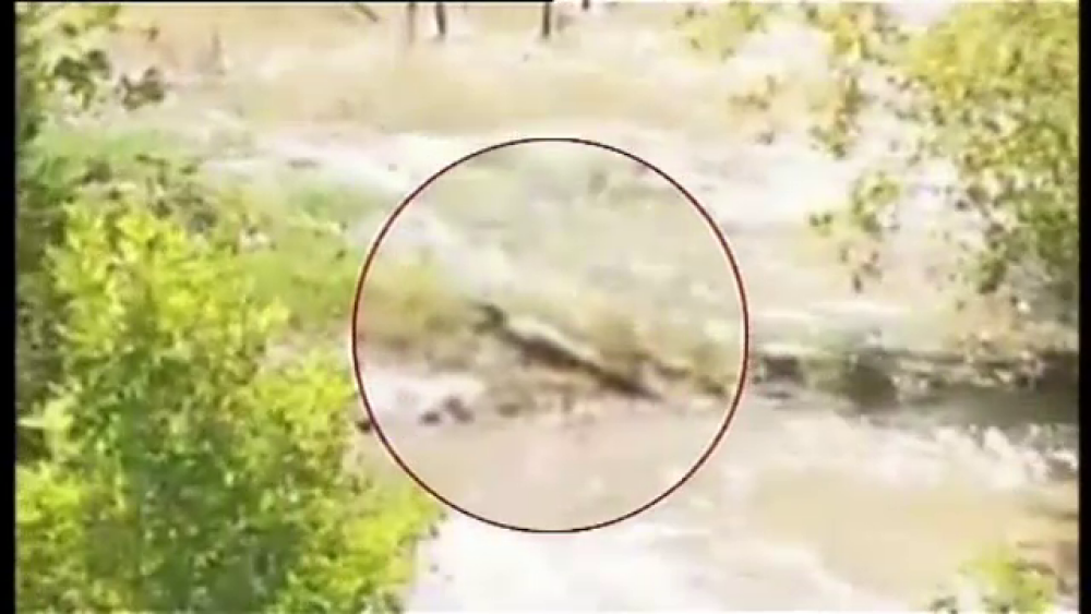 Crocodil vazut in apele unui lac din Creta. Reptila a semanat spaima in turistii aflati in vacanta pe insula - Imaginea 2