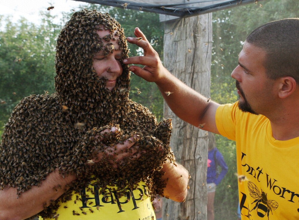 Concursul interzis celor slabi de inima. Ce s-a intamplat cu acest barbat dupa ce s-a lasat acoperit de sute de mii de albine - Imaginea 3
