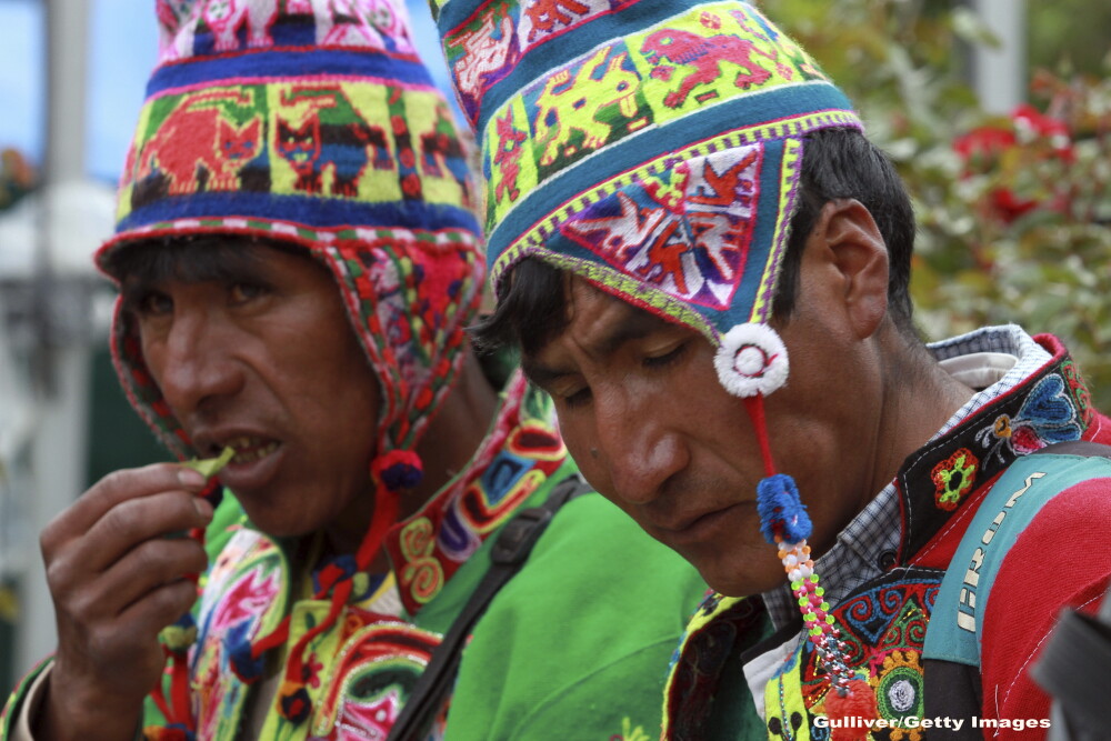 Nu este cocaina! Ce trebuie sa stiti despre bautura din frunze de coca, consumata de Papa Francisc in drum spre Bolivia - Imaginea 1