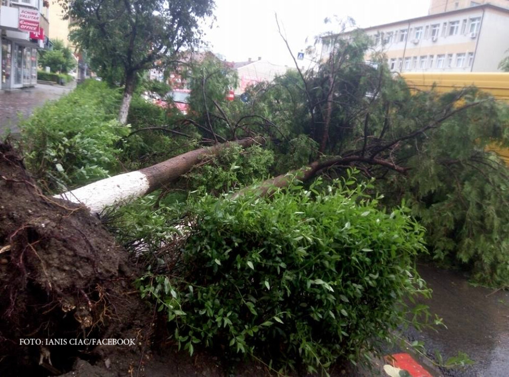 Imagini de groaza, filmate in orasul Hateg. O furtuna a smuls acoperisurile de pe blocuri si copacii din radacini - Imaginea 1