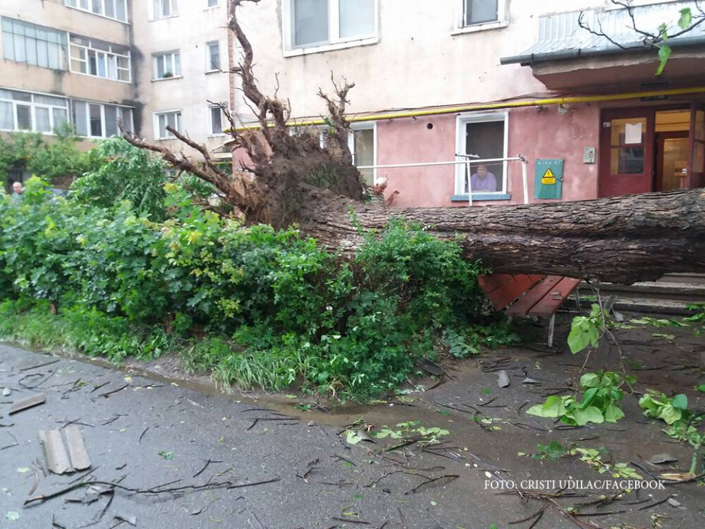 Imagini de groaza, filmate in orasul Hateg. O furtuna a smuls acoperisurile de pe blocuri si copacii din radacini - Imaginea 5