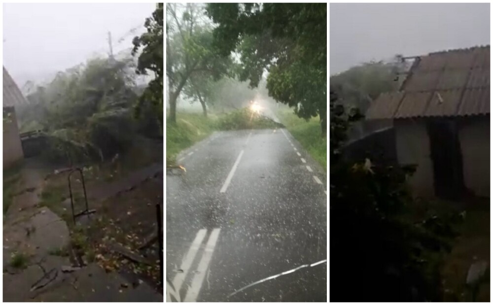 Furtună devastatoare la Botoșani: Vântul a rupt copaci și smuls acoperișuri. VIDEO - Imaginea 1