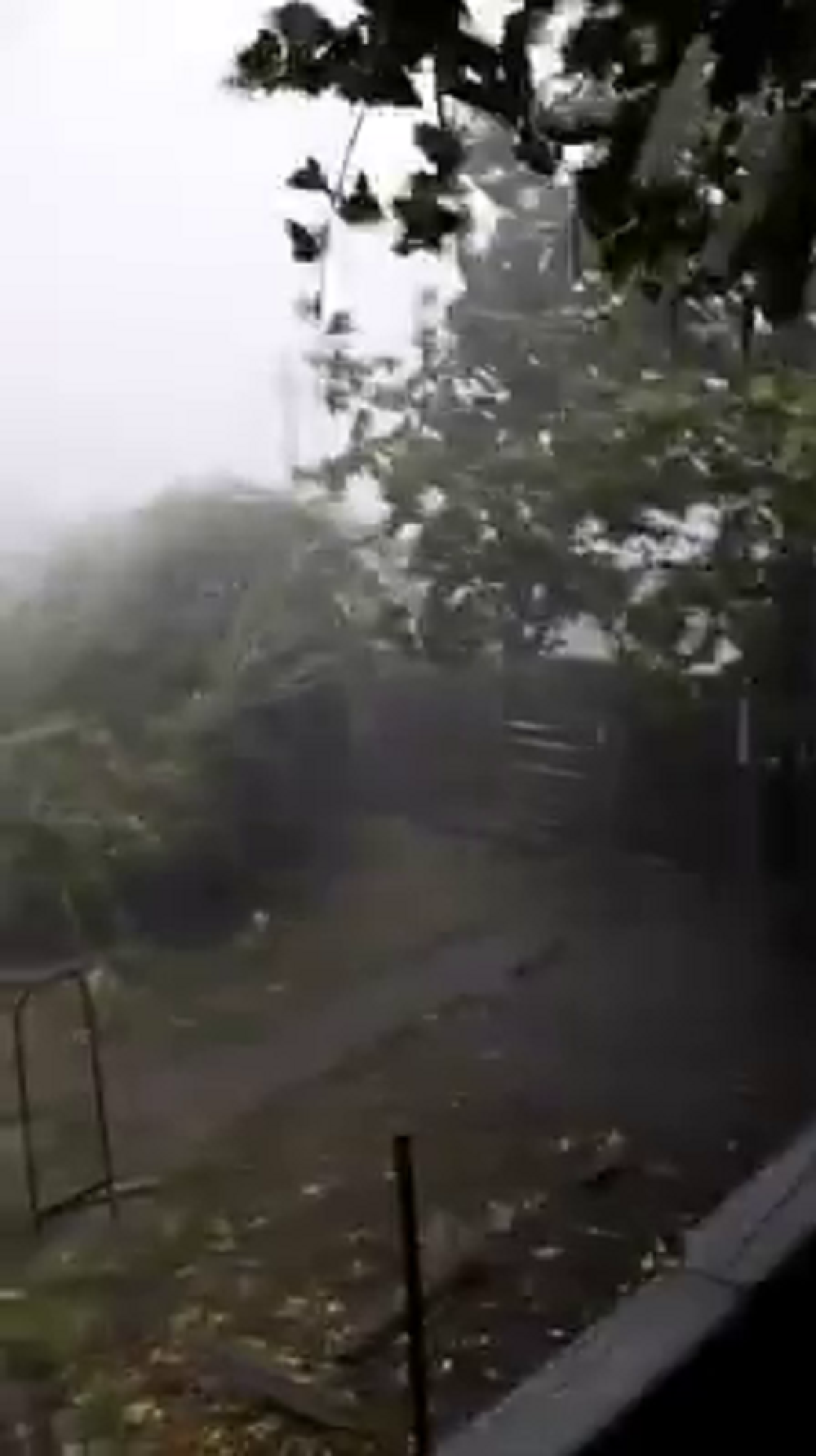 Furtună devastatoare la Botoșani: Vântul a rupt copaci și smuls acoperișuri. VIDEO - Imaginea 4