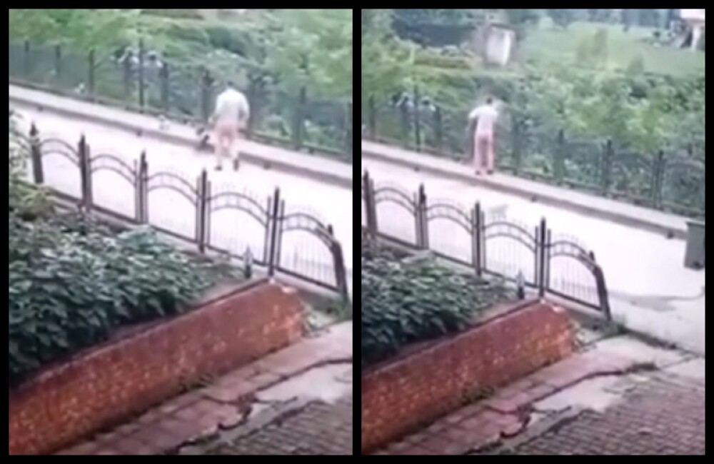 Momentul în care un angajat mătură un cățel de pe stradă și-l aruncă de pe pod. VIDEO - Imaginea 1