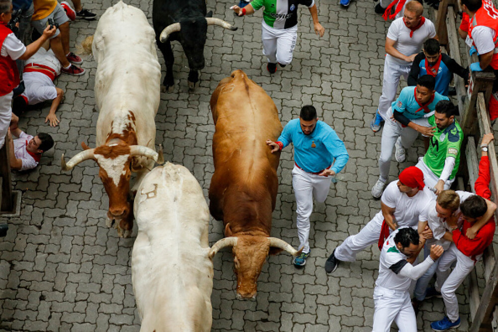 Imagini șocante. Turiști călcați în picioare și împunși de tauri la Pamplona - Imaginea 10