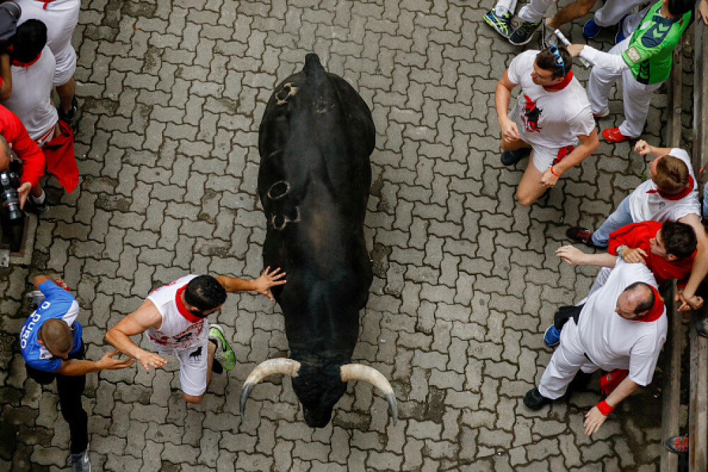 Imagini șocante. Turiști călcați în picioare și împunși de tauri la Pamplona - Imaginea 18