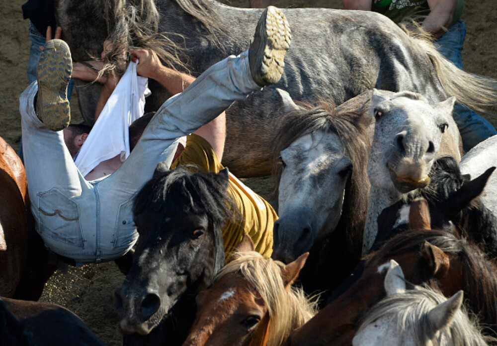 Lupte corp la corp cu cai sălbatici, la un festival din Spania. Imagini tulburătoare - Imaginea 21