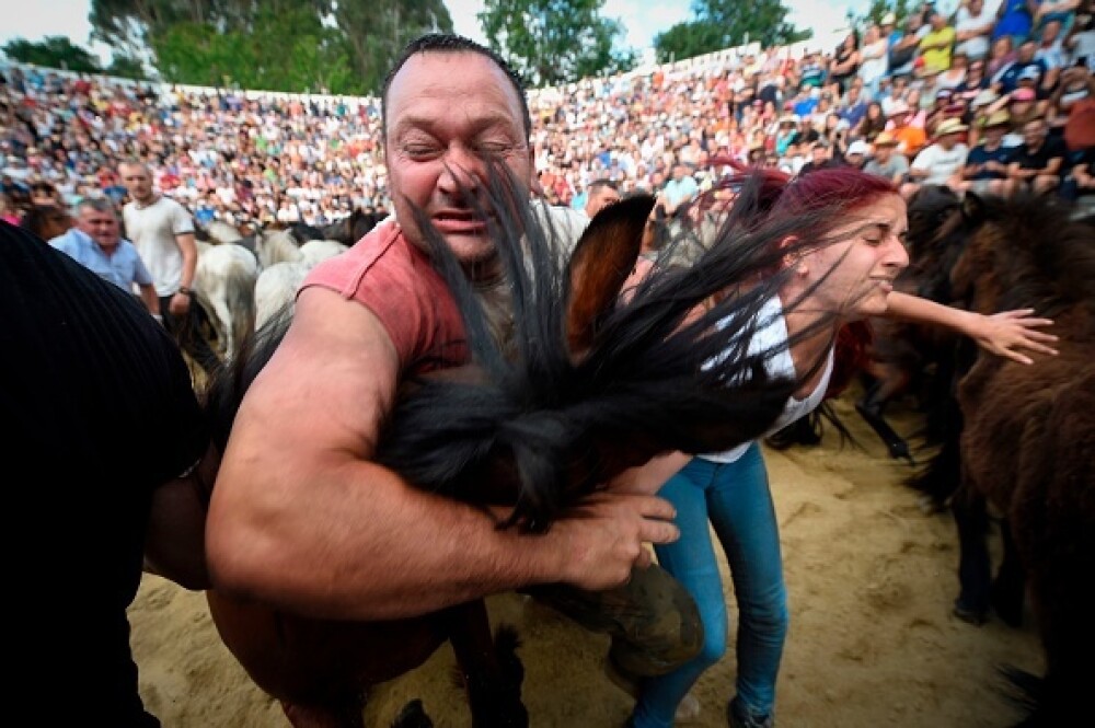 Lupte corp la corp cu cai sălbatici, la un festival din Spania. Imagini tulburătoare - Imaginea 19