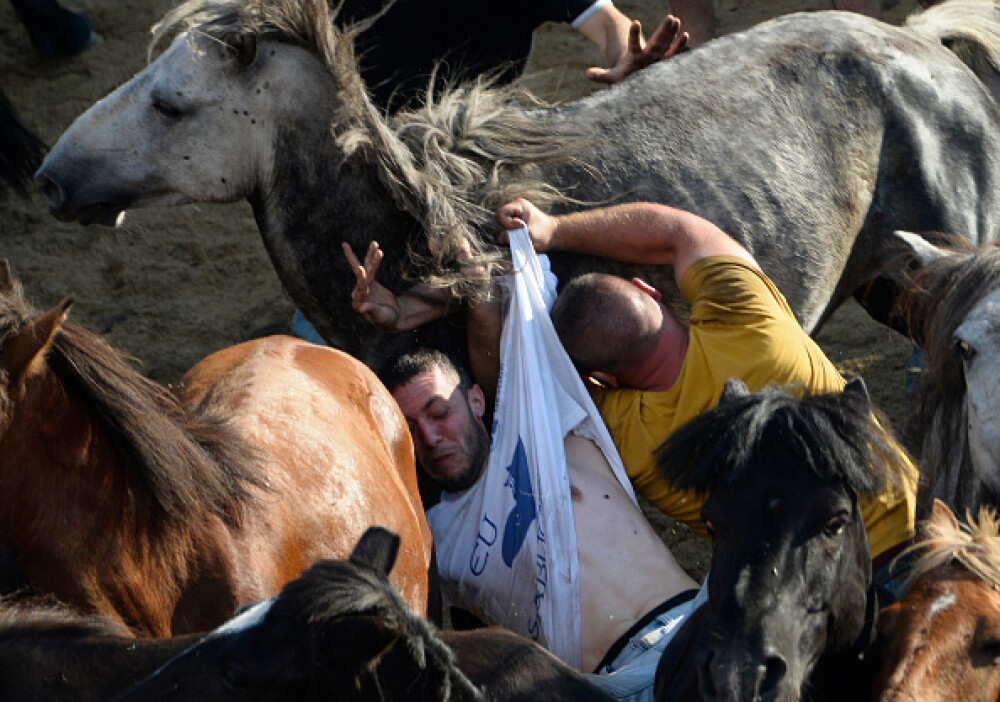 Lupte corp la corp cu cai sălbatici, la un festival din Spania. Imagini tulburătoare - Imaginea 18