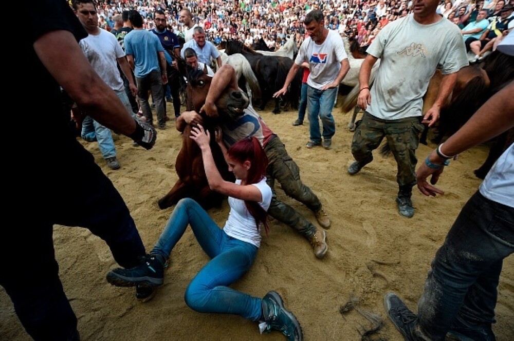 Lupte corp la corp cu cai sălbatici, la un festival din Spania. Imagini tulburătoare - Imaginea 17