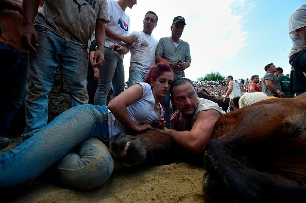Lupte corp la corp cu cai sălbatici, la un festival din Spania. Imagini tulburătoare - Imaginea 10