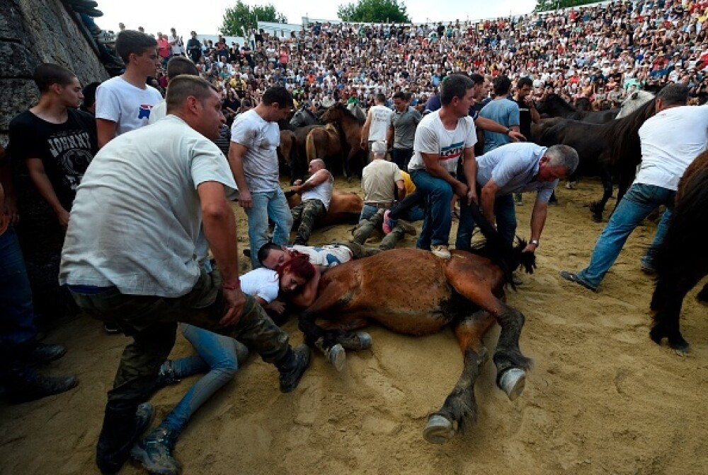 Lupte corp la corp cu cai sălbatici, la un festival din Spania. Imagini tulburătoare - Imaginea 6
