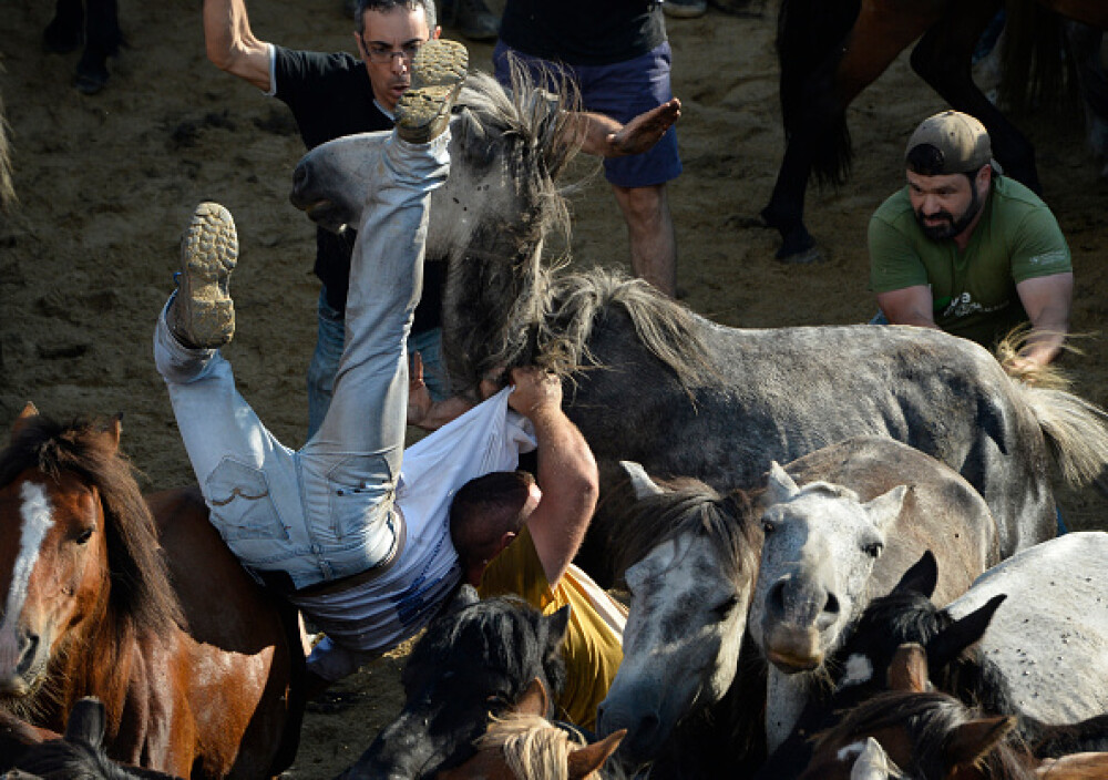 Lupte corp la corp cu cai sălbatici, la un festival din Spania. Imagini tulburătoare - Imaginea 4