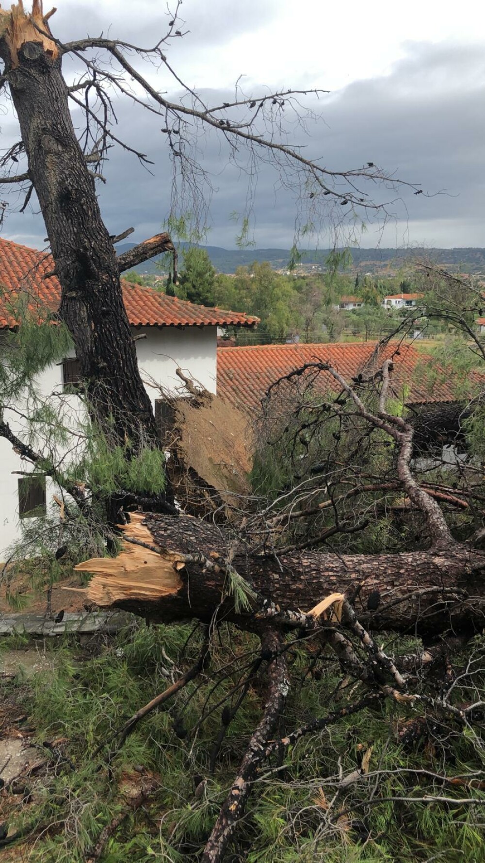 2 români morți în Grecia, după o tornadă devastatoare. Alți 4 turiști decedați, zeci de răniți - Imaginea 13