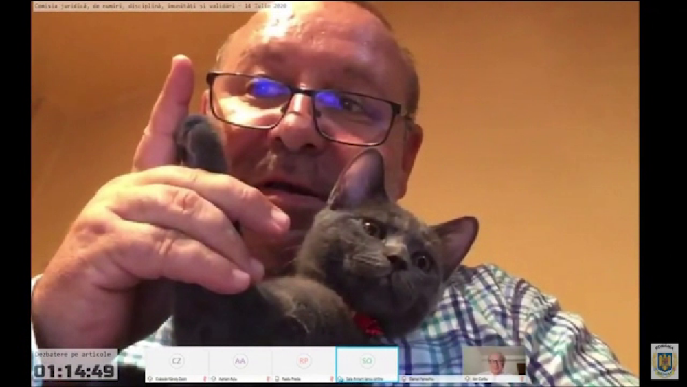 Senatorul PNL Fenechiu, filmat cu un coniac și o pisică la dezbaterile Legii carantinării - Imaginea 2
