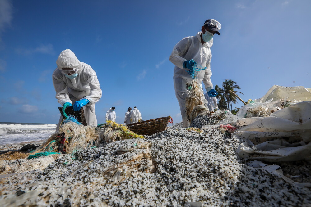 Dezastru marin în Sri Lanka. Peste 170 de țestoase moarte au ajuns pe o plajă - Imaginea 1