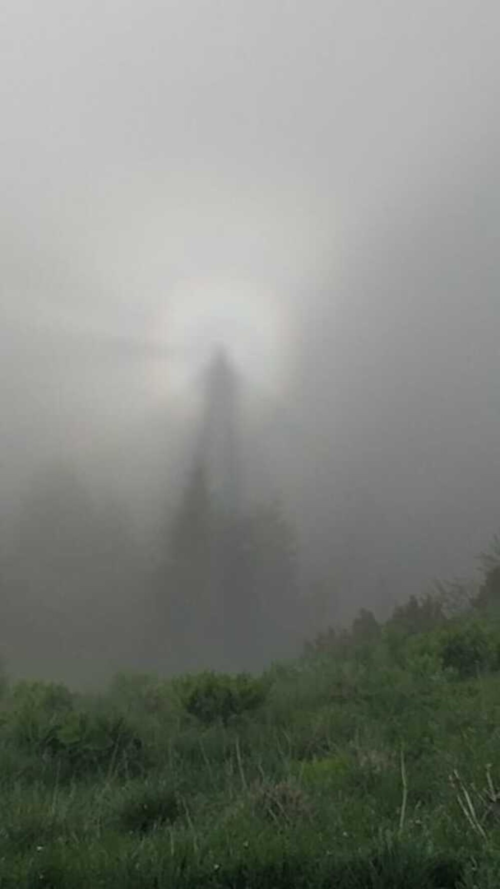 Efectul Gloria, un fenomen extrem de rar, surprins pe Muntele Ceahlău. Cum se formează VIDEO și GALERIE FOTO - Imaginea 2