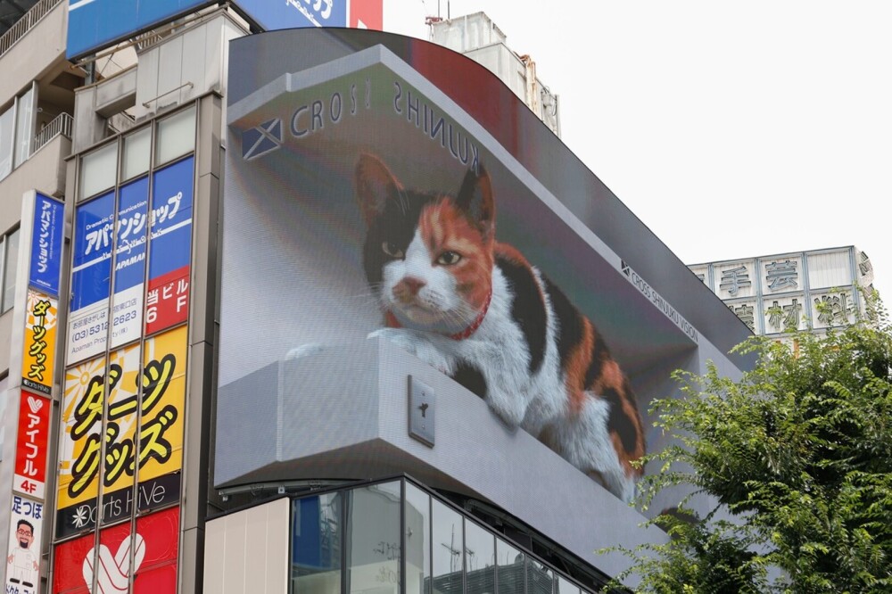 O pisică 3D uriașă a apărut pe un panou publicitar în Tokyo. GALERIE FOTO - Imaginea 1