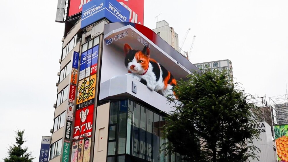 O pisică 3D uriașă a apărut pe un panou publicitar în Tokyo. GALERIE FOTO - Imaginea 2