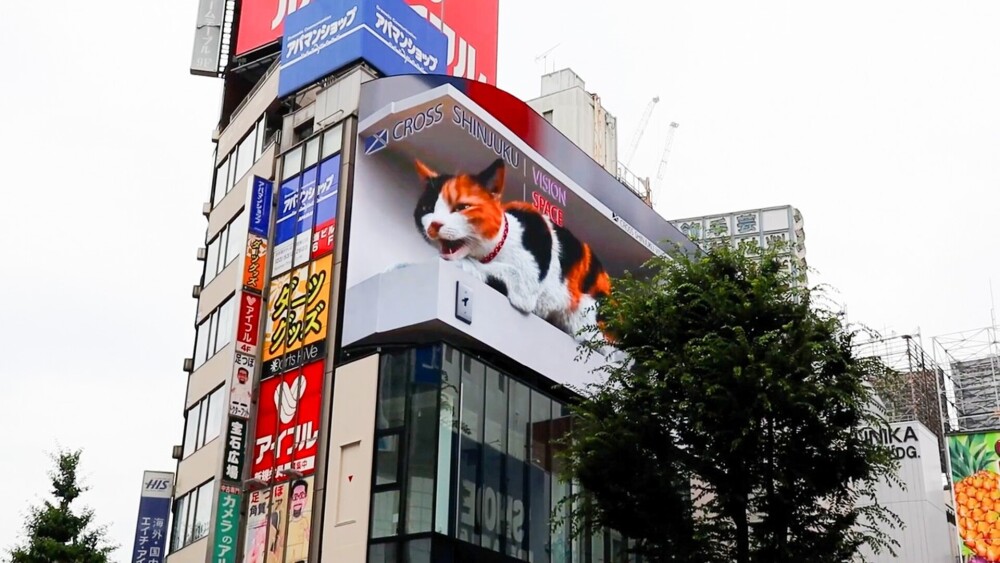 O pisică 3D uriașă a apărut pe un panou publicitar în Tokyo. GALERIE FOTO - Imaginea 3