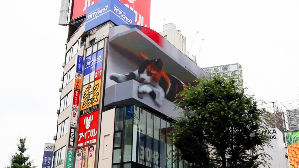 O pisică 3D uriașă a apărut pe un panou publicitar în Tokyo. GALERIE FOTO - Imaginea 4