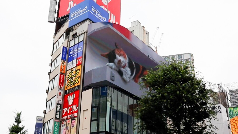 O pisică 3D uriașă a apărut pe un panou publicitar în Tokyo. GALERIE FOTO - Imaginea 5