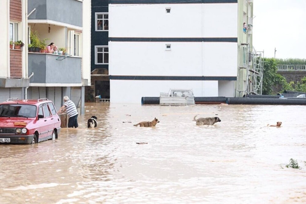Apele s-au dezlănțuit din nou în nord-estul Turciei. A fost declarată stare de dezastru în mai multe provincii - Imaginea 8
