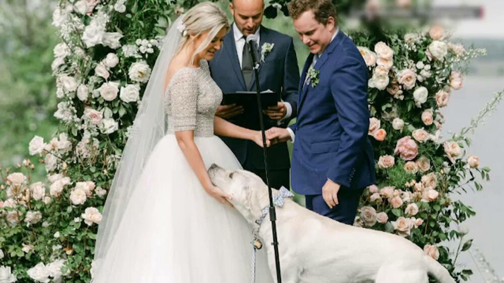 Moment inedit la nunta unui cuplu din SUA. Câinele mirilor a fost cavaler de onoare | GALERIE FOTO - Imaginea 1