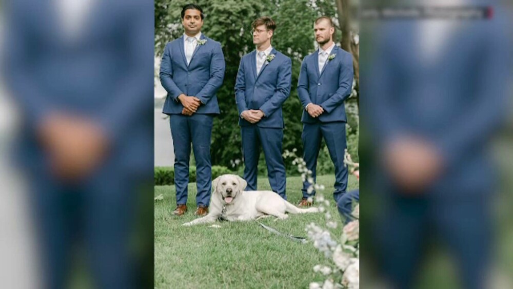 Moment inedit la nunta unui cuplu din SUA. Câinele mirilor a fost cavaler de onoare | GALERIE FOTO - Imaginea 2