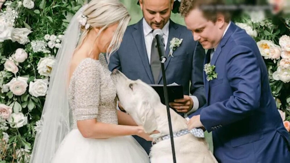 Moment inedit la nunta unui cuplu din SUA. Câinele mirilor a fost cavaler de onoare | GALERIE FOTO - Imaginea 3
