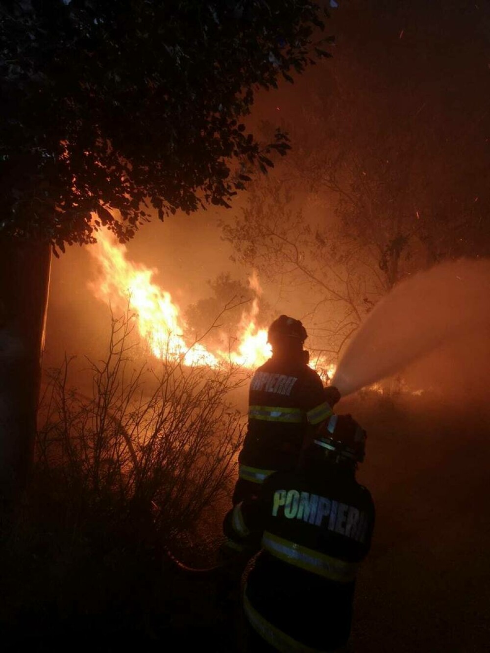 Nouă sate din apropiere de Atena, evacuate din cauza unui incendiu. Pompierii români ajută la stingerea flăcărilor - Imaginea 4