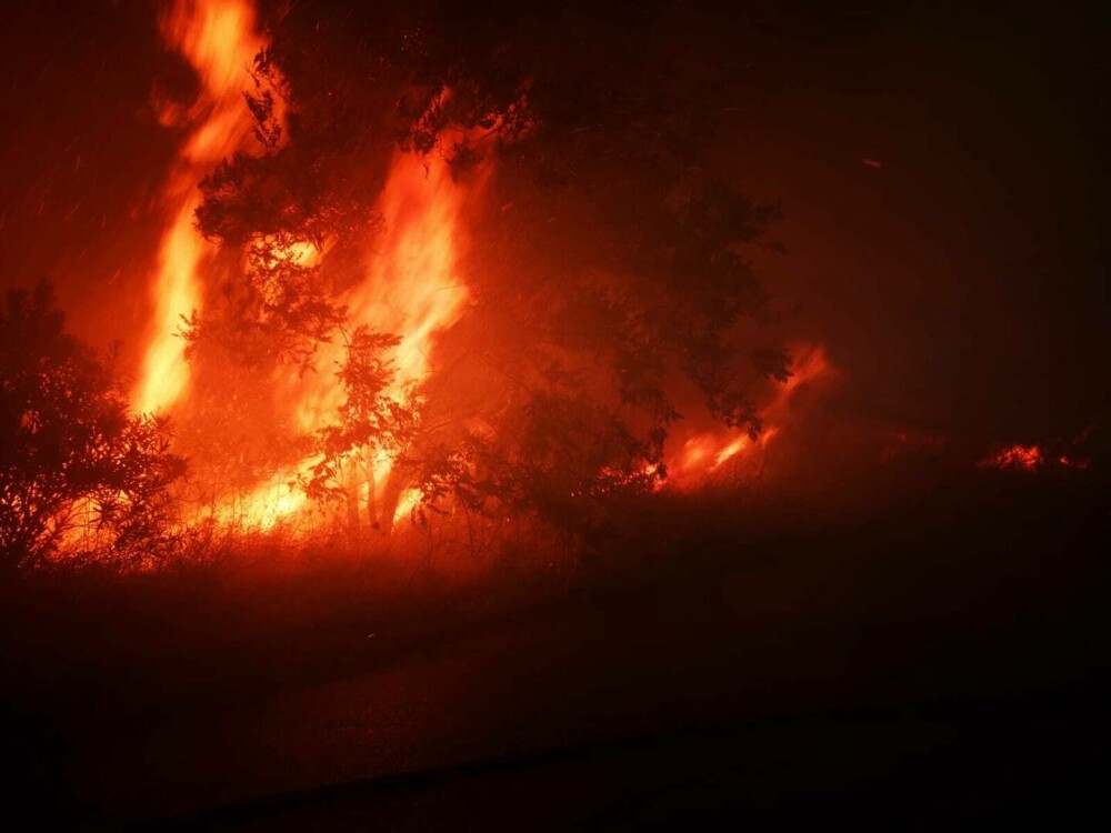 Nouă sate din apropiere de Atena, evacuate din cauza unui incendiu. Pompierii români ajută la stingerea flăcărilor - Imaginea 2